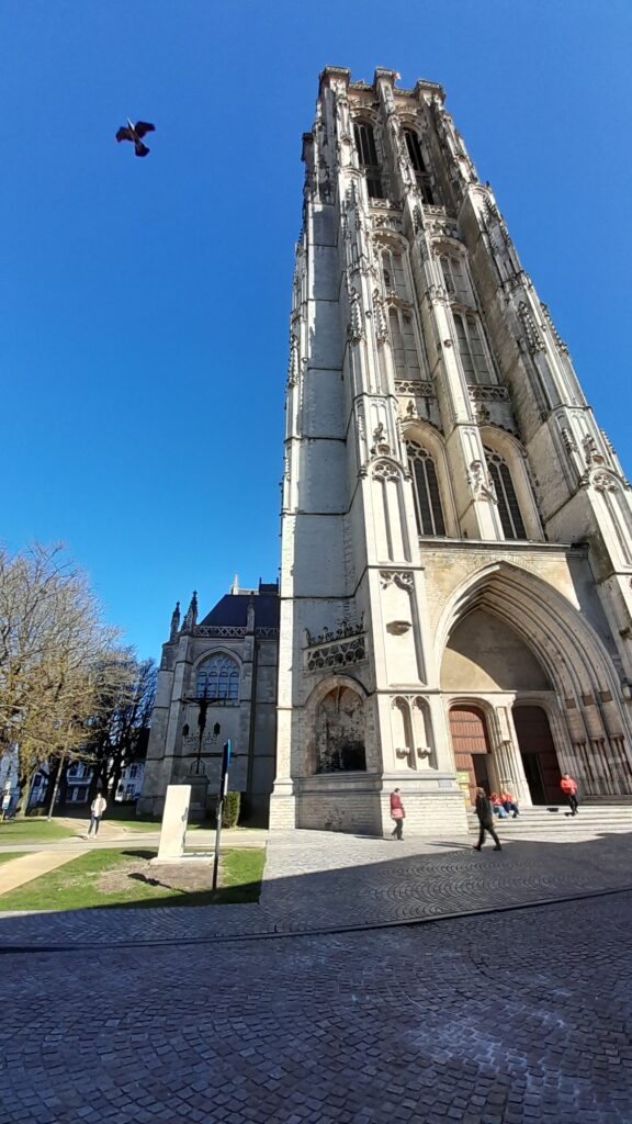 Traveltoer-Sint-Romboutskathedraal-Mechelen