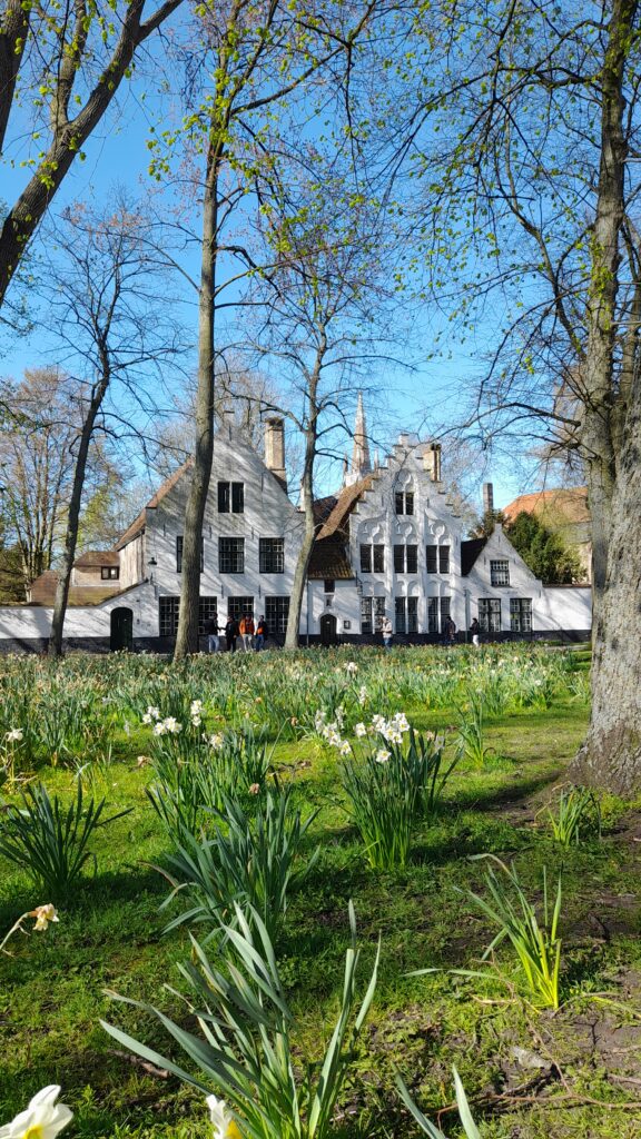 Traveltoer-Bruges-Begijnhof