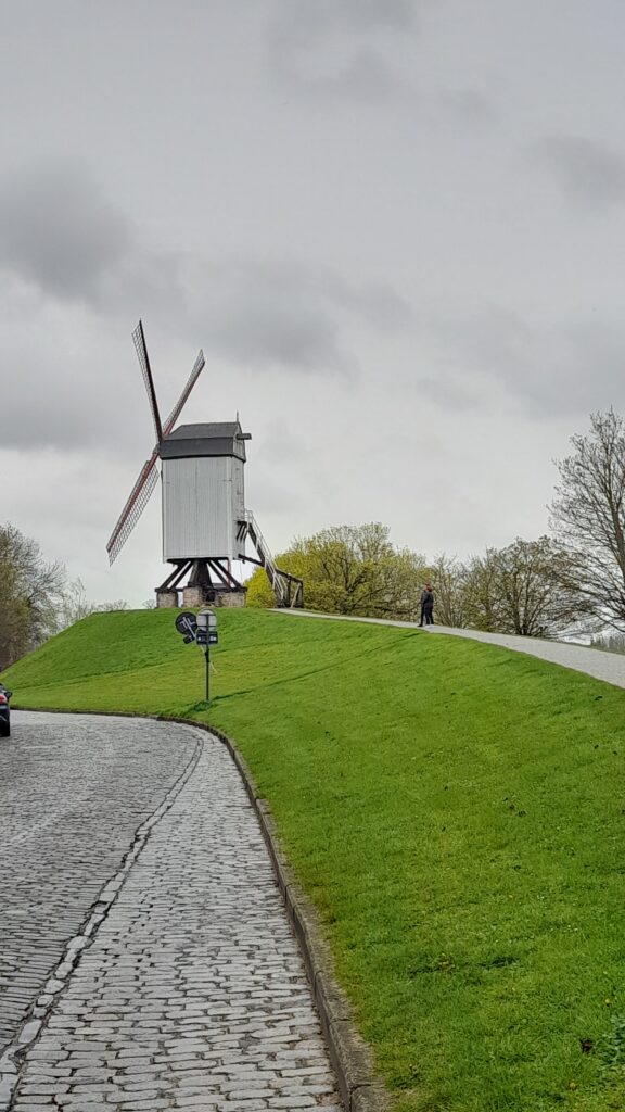 Traveltoer-Bruges-Windmills