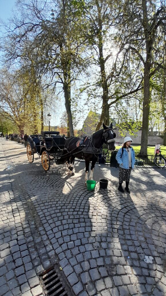 Traveltoer-Bruges-Carriage