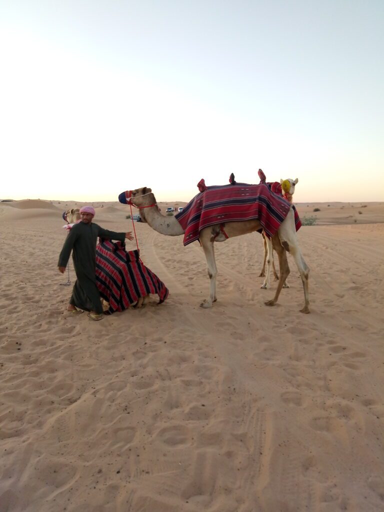 Traveltoer-A Desert Safari Adventure in Dubai
