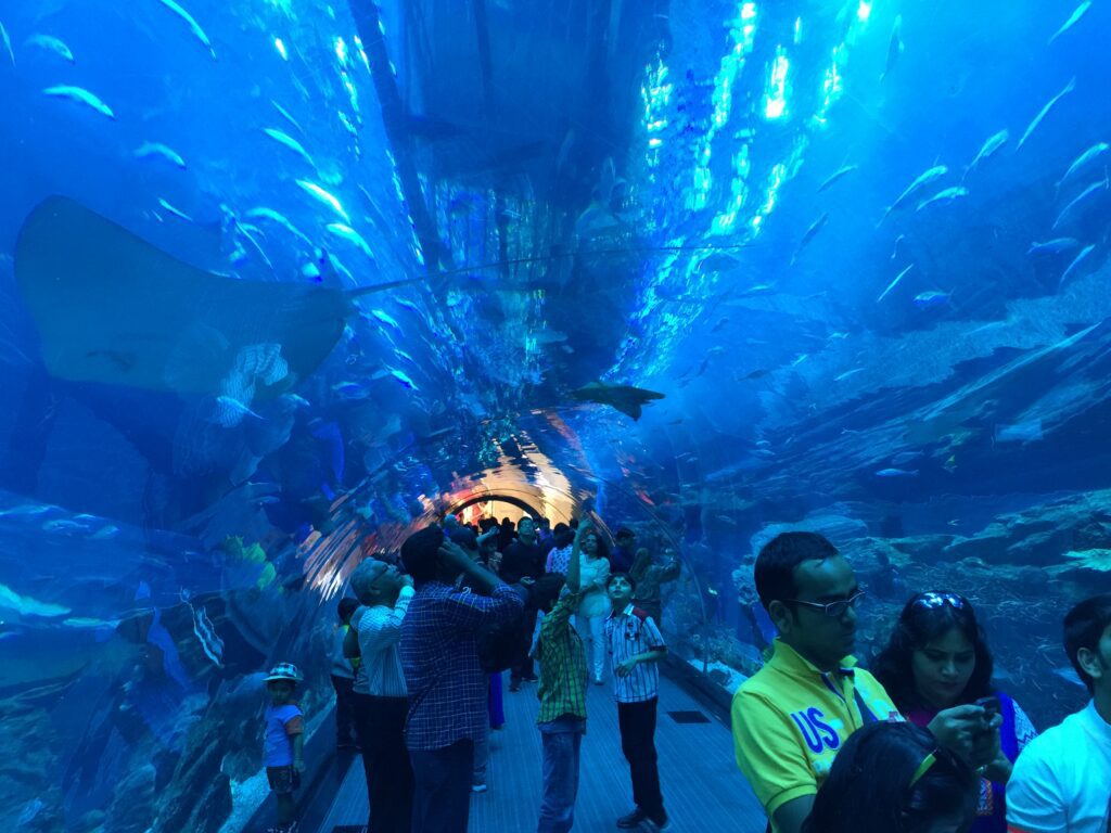 Traveltoer-Dubai-Aquarium-Dubai's Architectural Marvels and Landmarks.
