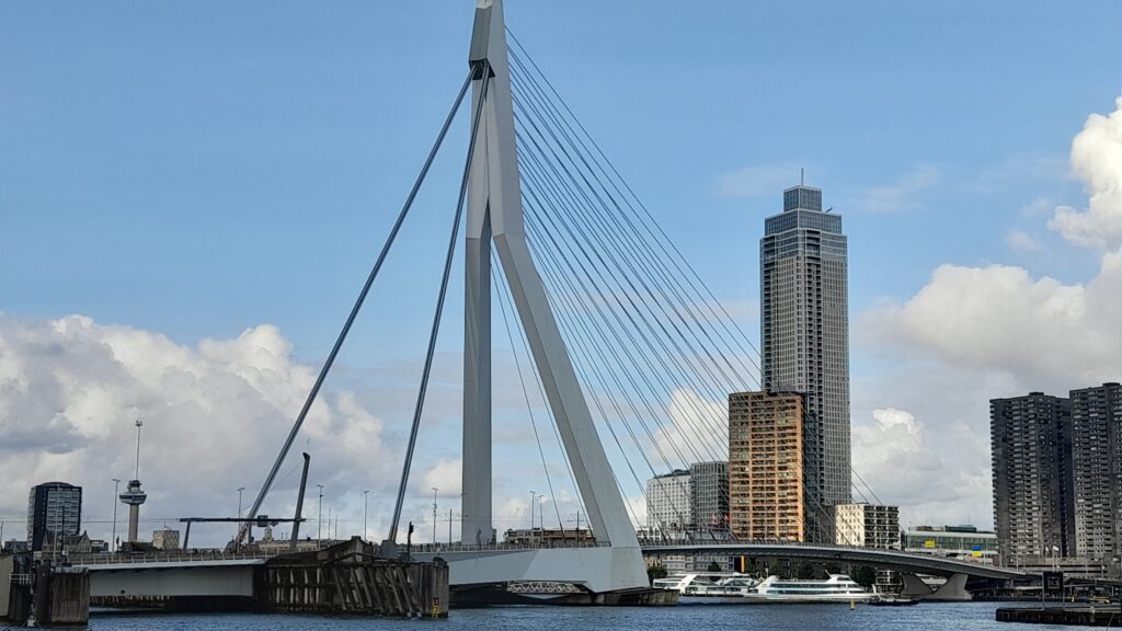Traveltoer-Erasmus bridge-Things to See and Do in Rotterdam