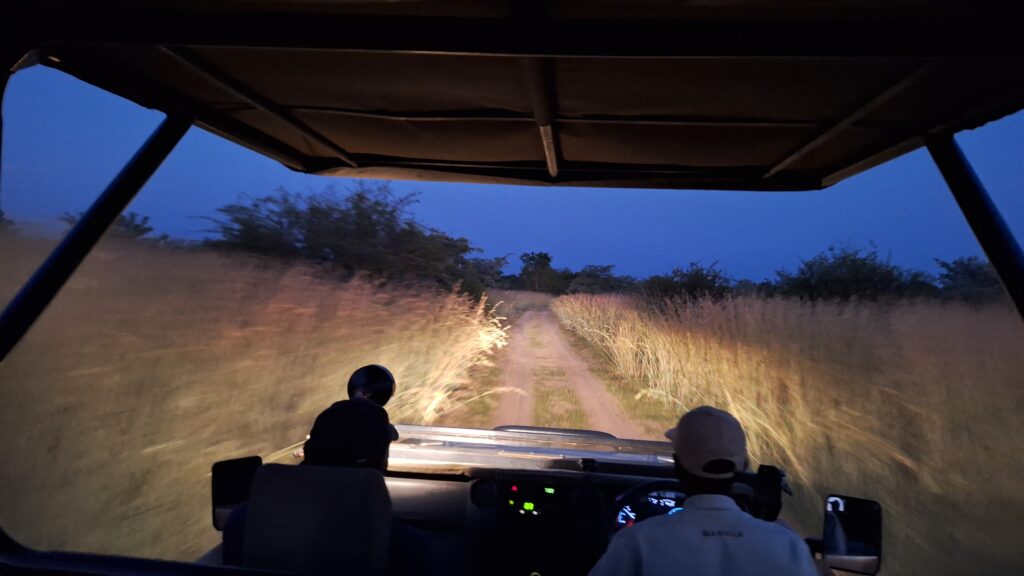Traveltoer-Early morning Game Drive