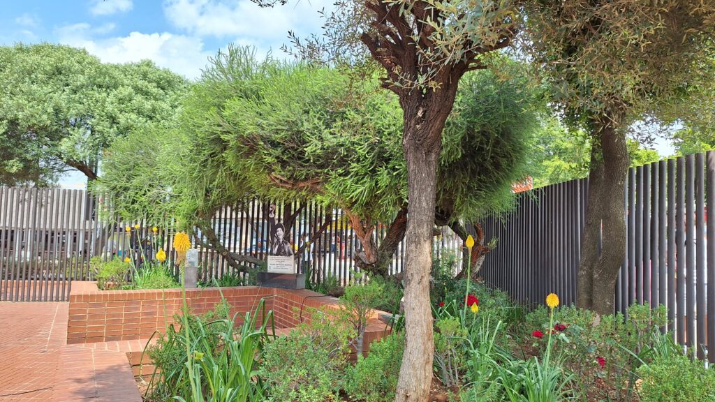 Traveltoer-Johannesburg in 25 Photos